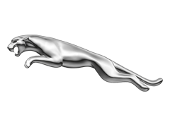Jaguar dalys
