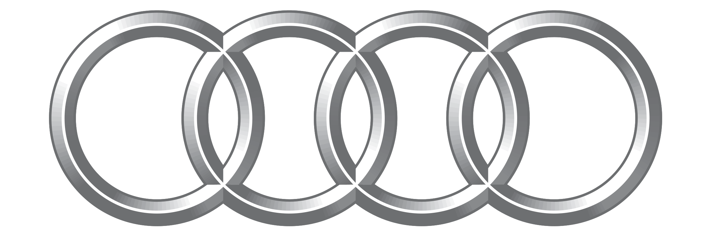 Audi dalys